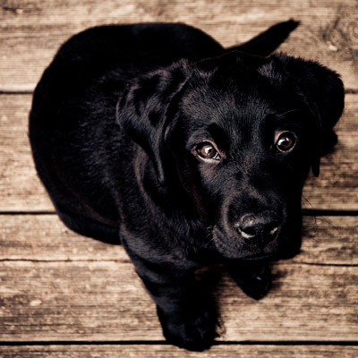 手机号验证码轰炸平台